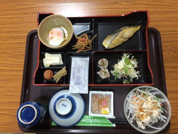 Ryokan Kobayashi 片品村 外观 照片